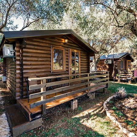 Holiday Park Olive Tree 乌尔齐尼 外观 照片