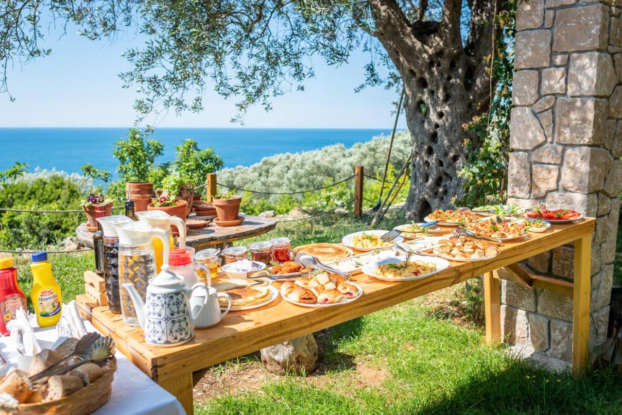 Holiday Park Olive Tree 乌尔齐尼 外观 照片
