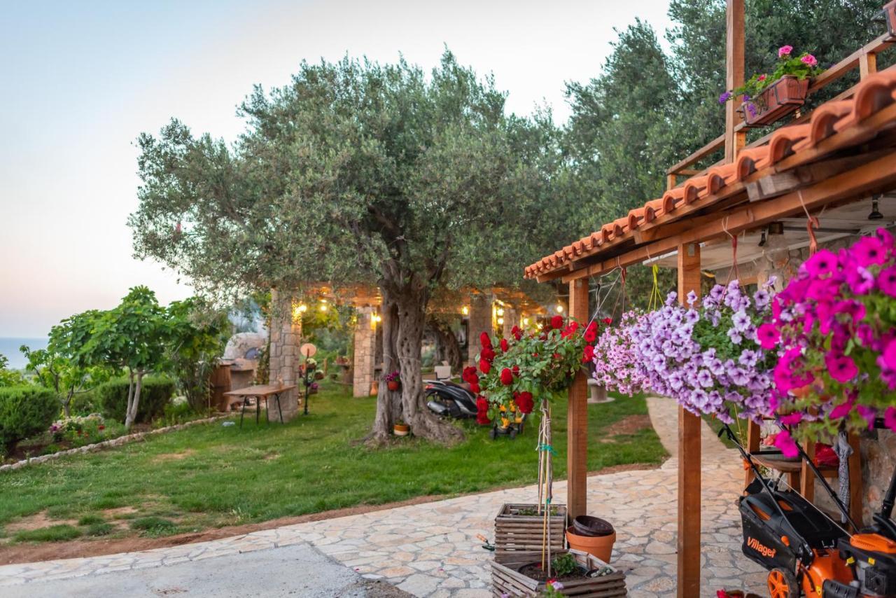 Holiday Park Olive Tree 乌尔齐尼 外观 照片