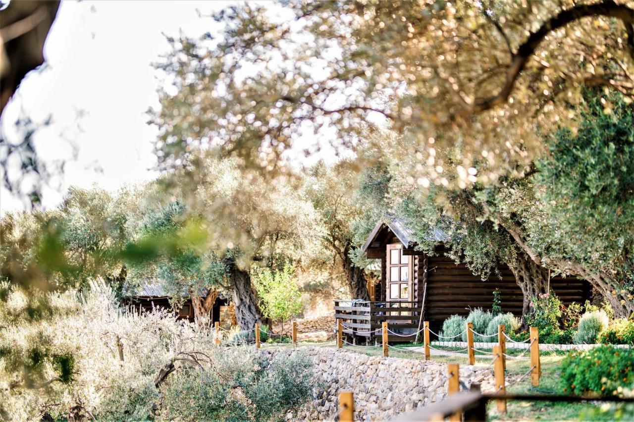 Holiday Park Olive Tree 乌尔齐尼 外观 照片