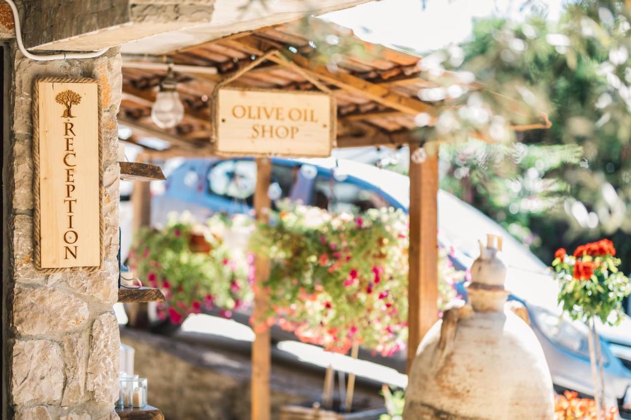Holiday Park Olive Tree 乌尔齐尼 外观 照片