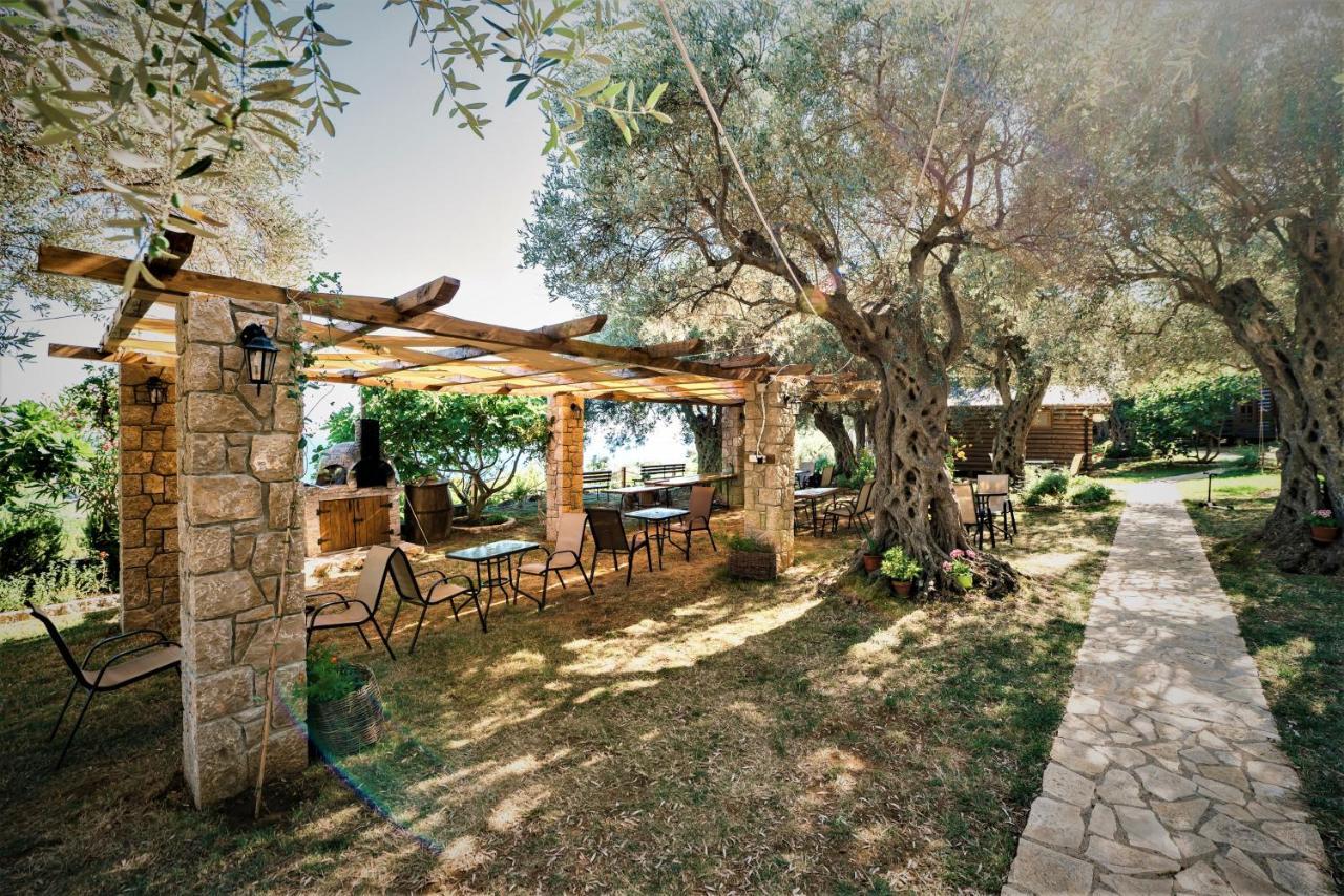 Holiday Park Olive Tree 乌尔齐尼 外观 照片