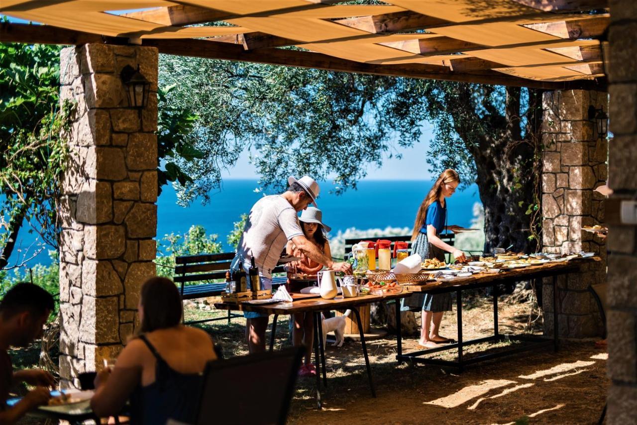 Holiday Park Olive Tree 乌尔齐尼 外观 照片