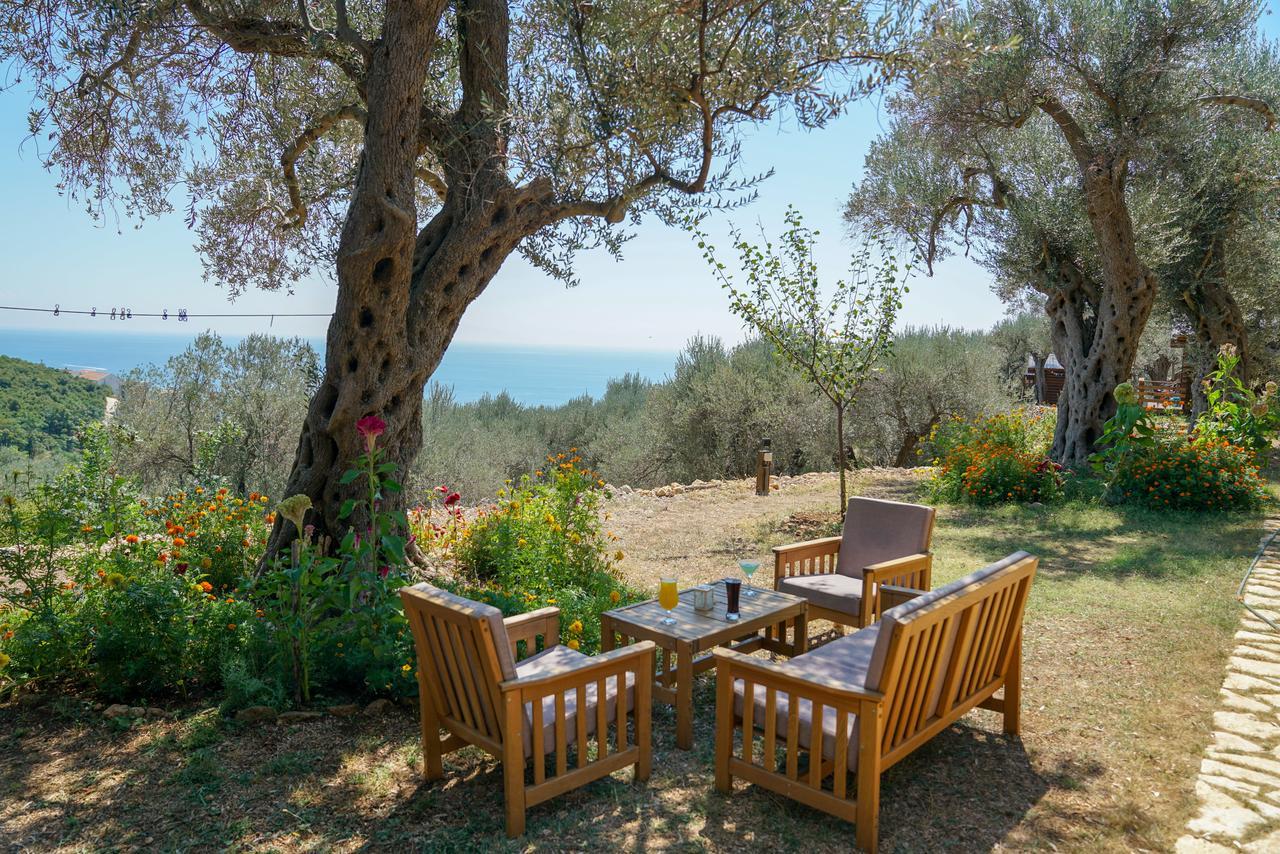 Holiday Park Olive Tree 乌尔齐尼 外观 照片