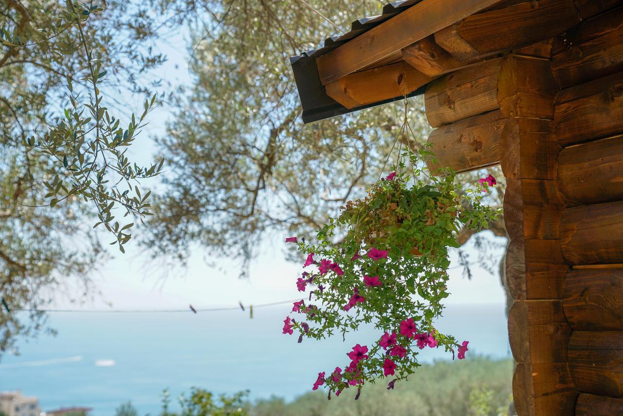 Holiday Park Olive Tree 乌尔齐尼 外观 照片